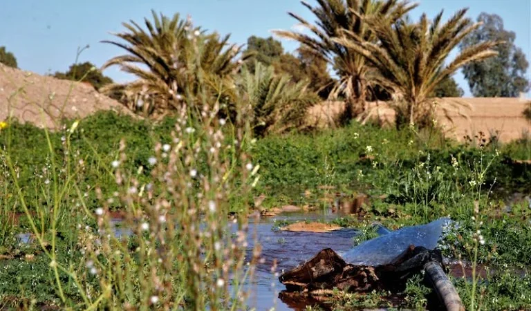 طقس الخميس..حرارة ورياح