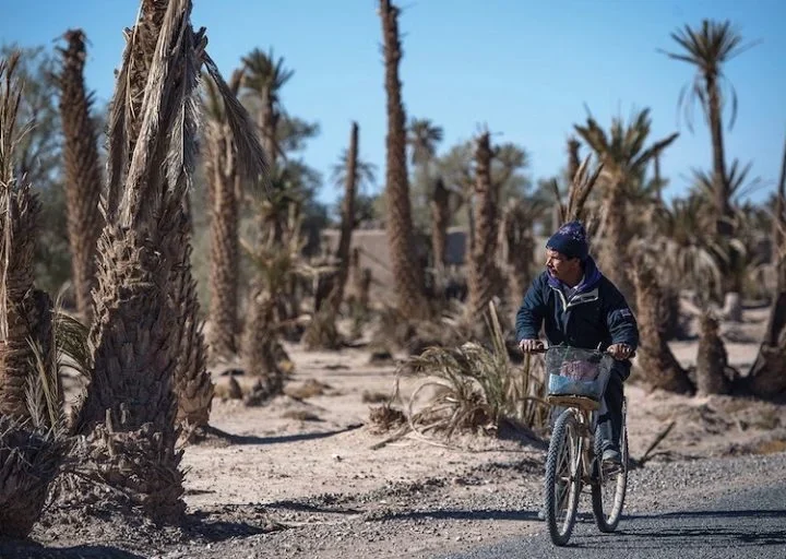 طقس الجمعة..حرارة وضباب