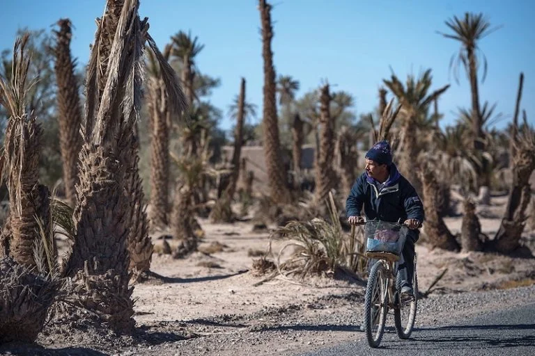 طقس الجمعة..حرارة وضباب