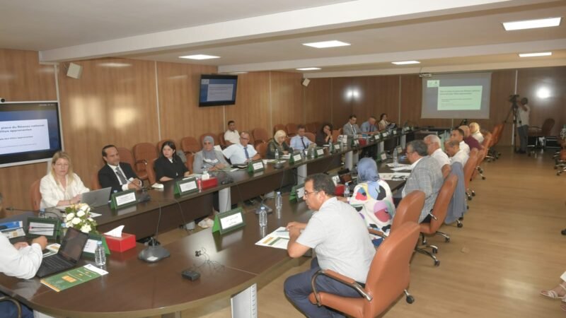 مراكش تستعرض تجربتها في ملتقى مدن التعلم