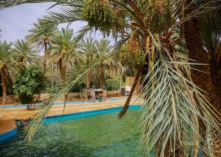 طقس الخميس..حرارة وضباب