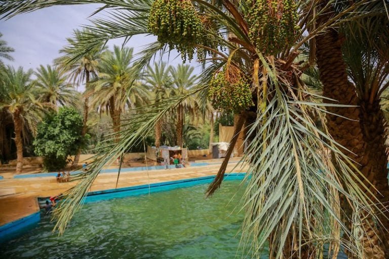 طقس الخميس..حرارة وضباب