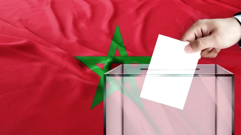 حصيلة أولية..702 لائحة ترشحت للانتخابات التشريعية