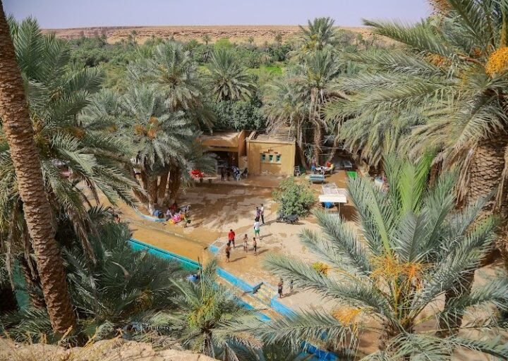 طقس الاثنين..حرارة وضباب