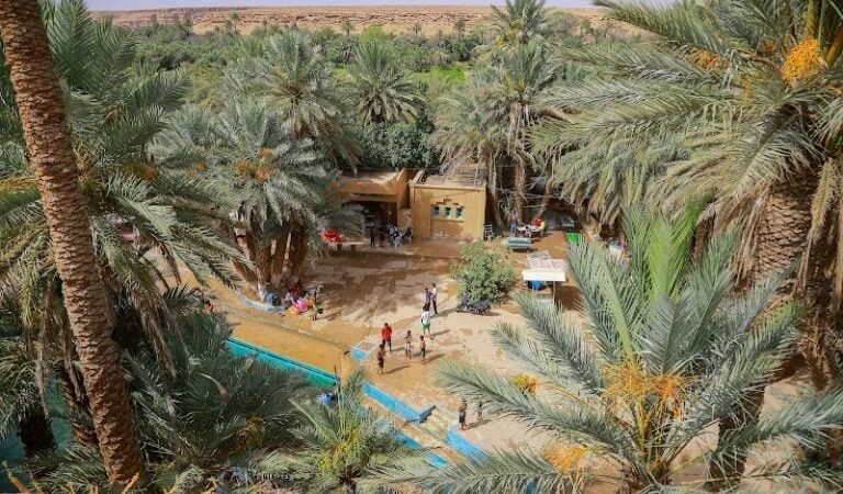 طقس الاثنين..حرارة وضباب