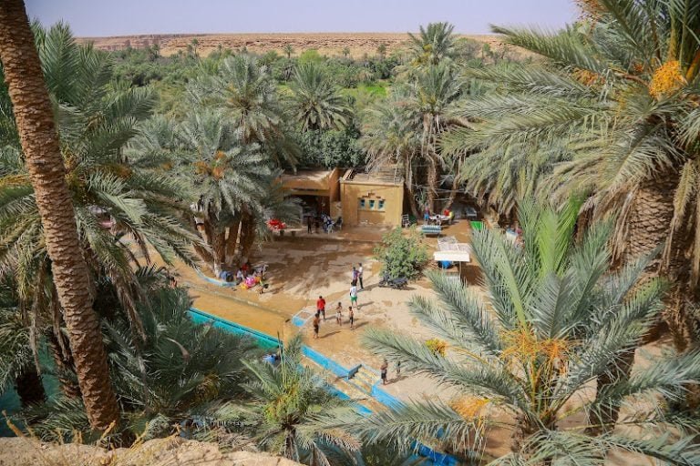 طقس الاثنين..حرارة وضباب
