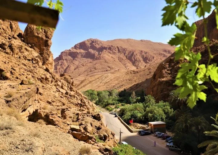 طقس الاثنين..حرارة وسُحب