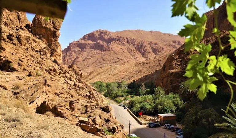 طقس الاثنين..حرارة وسُحب