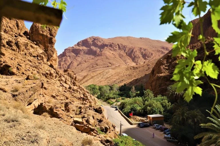 طقس الاثنين..حرارة وسُحب