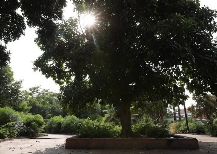 طقس الأحد..حرارة وزخات رعدية