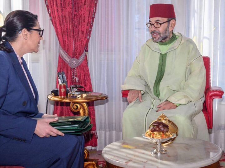 الملك يستقبل المنصوري ويطلع على مسار تشكيل الحكومة الجديدة