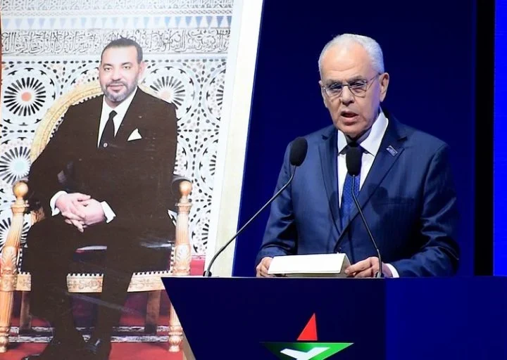 لوديي: المغرب ينهض بالصناعة الدفاعية المحلية بجلب الاستثمار الخارجي وتوطين التكنولوجيا العسكرية