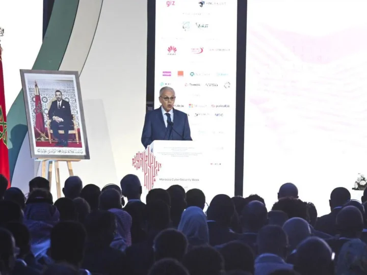 لوديي: تأمين نظم المعلومات أصبح ضرورة تفرضها التحولات الرقمية